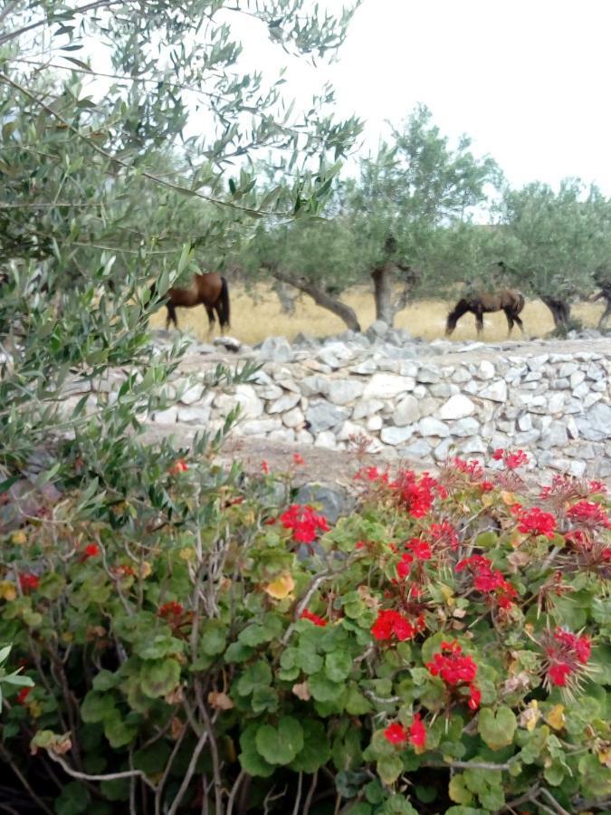 Ferienwohnung Charouda Stone Tower Pírgos Dhiroú Exterior foto